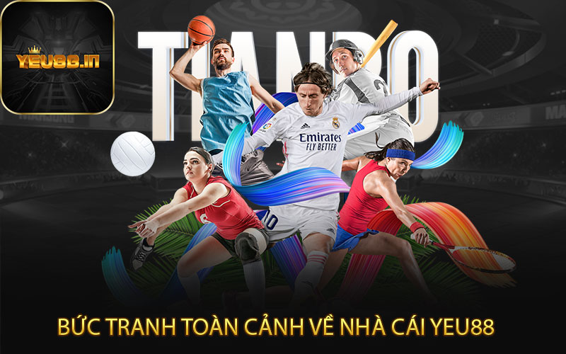 Bức tranh toàn cảnh về nhà cái Yeu88