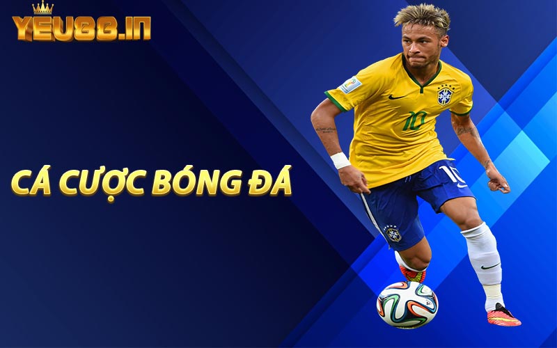 Cá Cược Bóng Đá