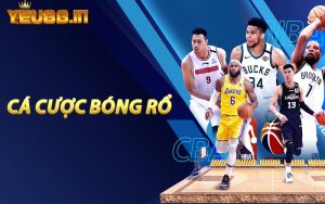 Cá Cược Bóng Rổ