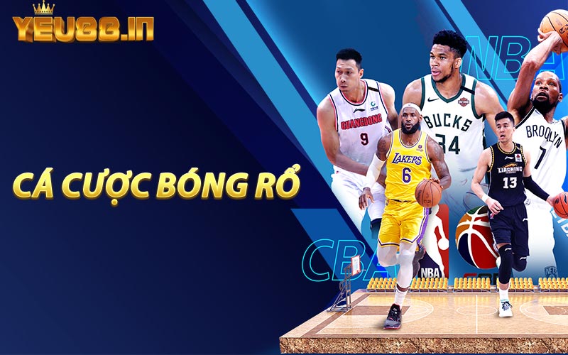 Cá Cược Bóng Rổ