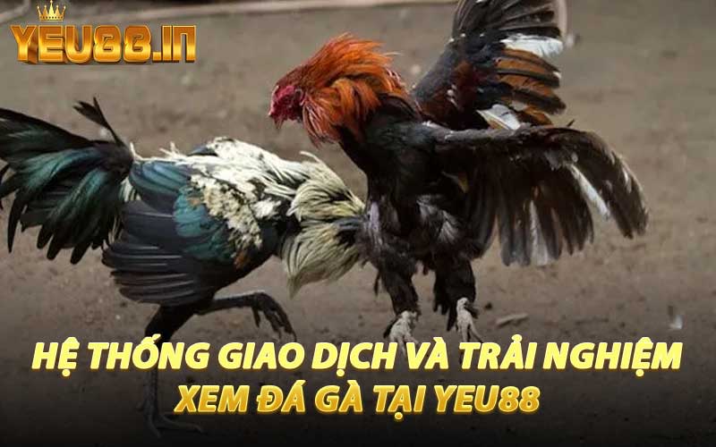 Hệ Thống Giao Dịch Và Trải Nghiệm Xem Đá Gà Tại YEU88