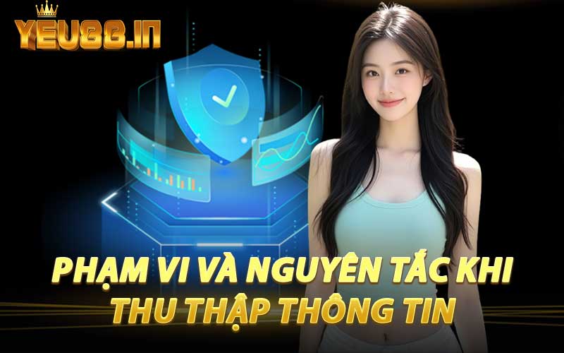 Phạm Vi Và Nguyên Tắc Khi Thu Thập Thông Tin